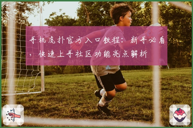 手机虎扑官方入口教程：新手必看，快速上手社区功能亮点解析