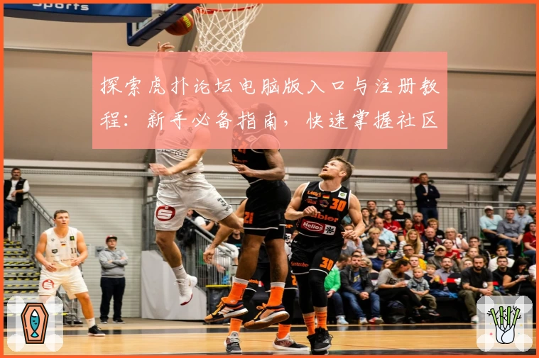 探索虎扑论坛电脑版入口与注册教程：新手必备指南，快速掌握社区核心玩法